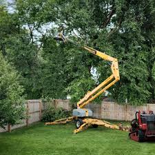 Best Tree Disease Treatment  in Owosso, MI